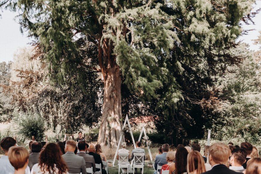 schafstall-rittergut-altenrode-natur-hochzeit-wald-traubogen